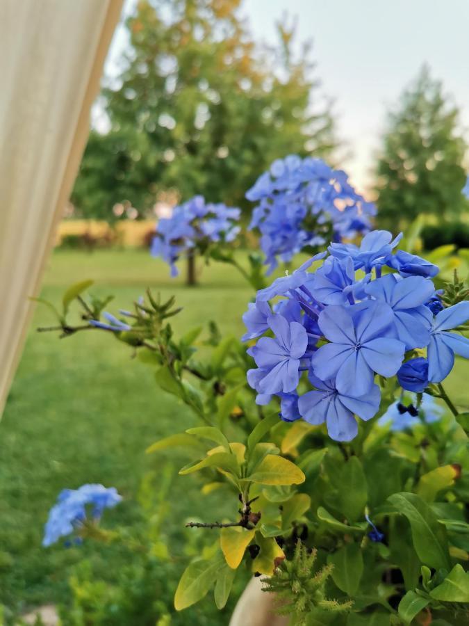 B&B Casazze Dream Marcaria Zewnętrze zdjęcie